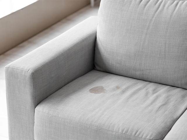 Cómo cuidar la tapicería de tu sofá y tus sillones durante los meses de calor: trucos y recomendaciones